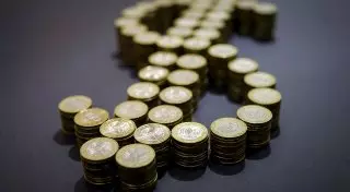 Алматинцы 3 года содержали девушку из богатой иностранной семьи