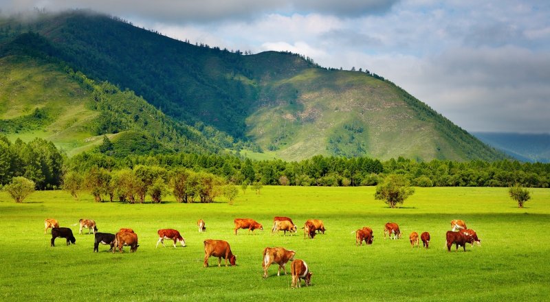 Фото с 123rf.com