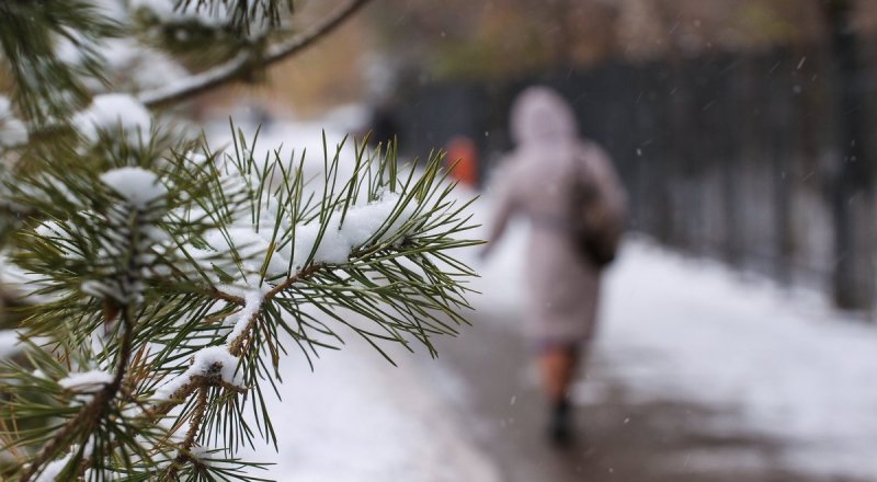 Фото Турар Казангапов ©