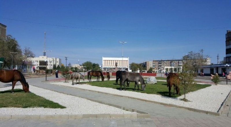 Фото очевидца.