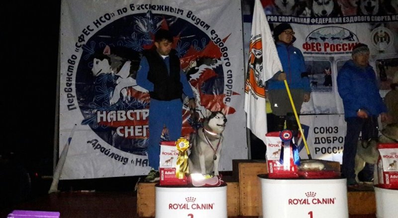 Фото: Давид Ряшин