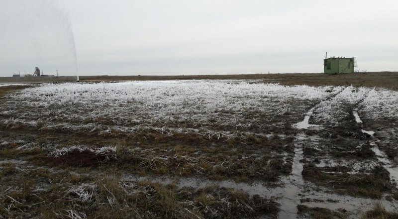 Фото Tengrinews.kz