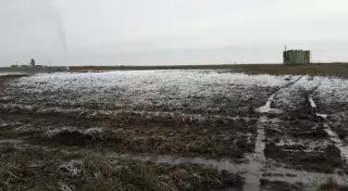 В Карагандинской области 10 дней бьет фонтан из-под земли