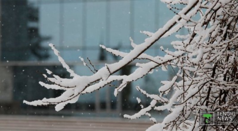 Фото © Tengrinews.kz