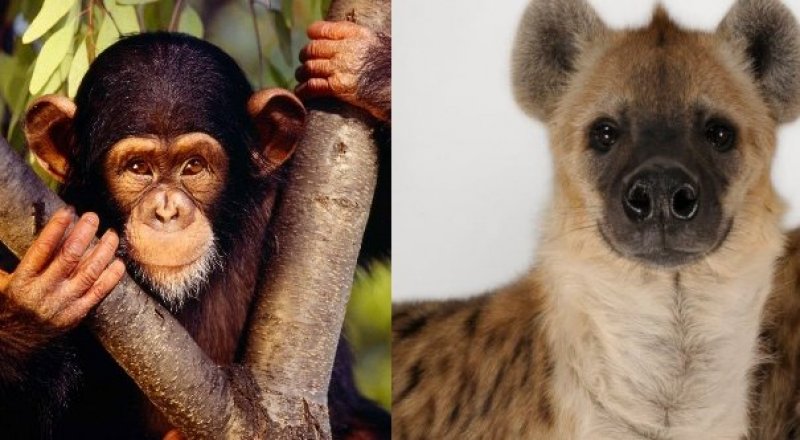 Иллюстративное фото