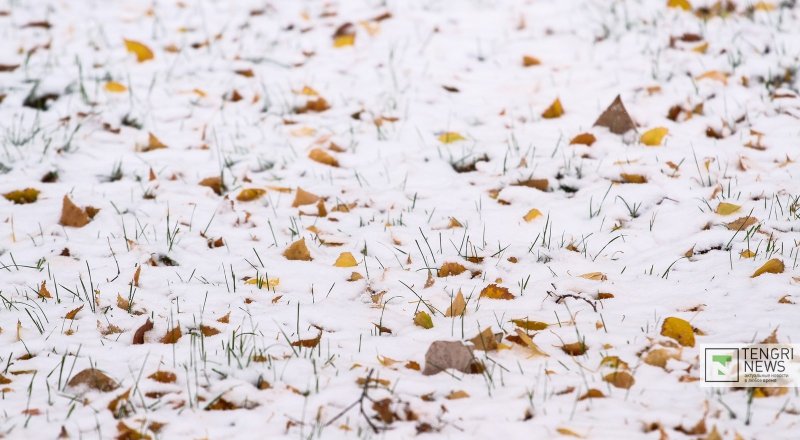 Фото©Турар Казангапов