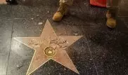 Видео: Вандалы разбили звезду Трампа на Аллее славы в Голливуде