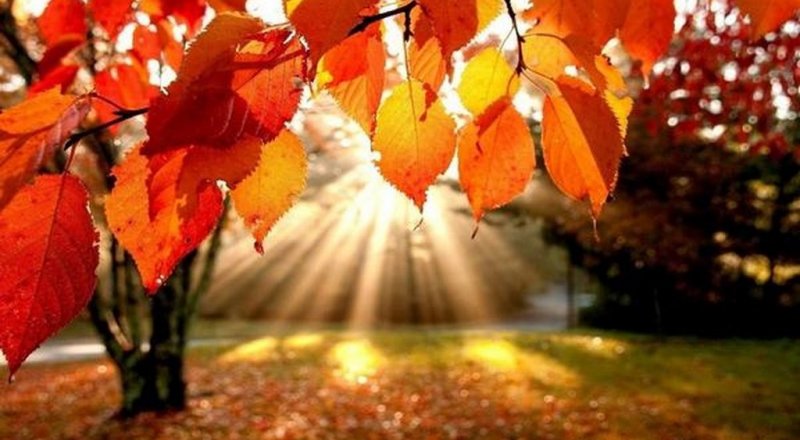 фото с сайта playcast.ru