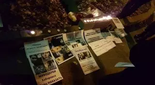 Волонтеры требуют ужесточить наказание живодерам в РК после кровавых случаев в Хабаровске