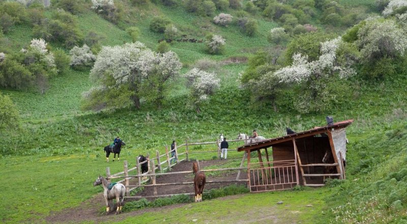 Фото с сайта www.nationalgeographic.com