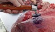 Бесконтрольный экспорт говядины может обрушить внутренний рынок Казахстана - эксперт