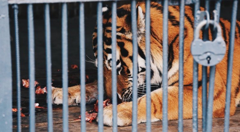 Фото Tengrinews.kz