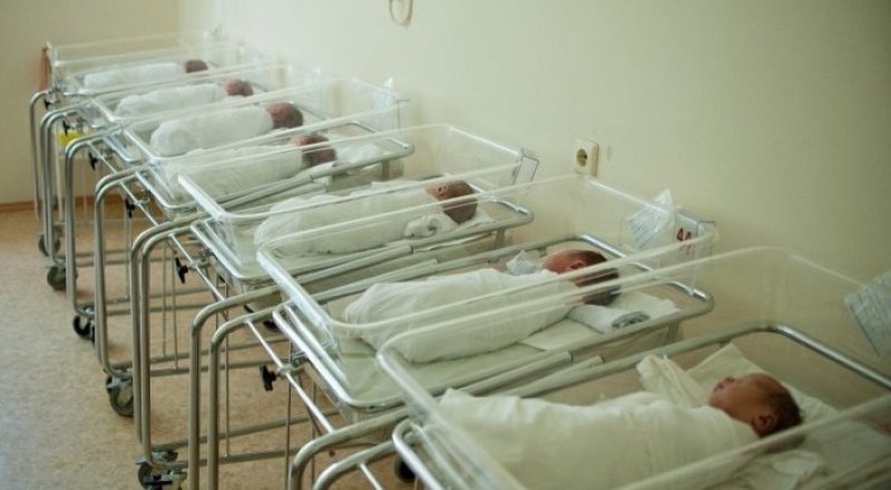 Фото с сайта Roddoma.ru