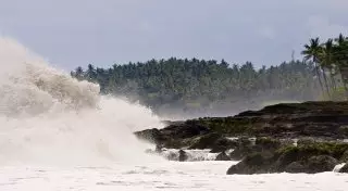 Мощное землетрясение у берегов Новой Зеландии спровоцировало цунами, есть жертвы