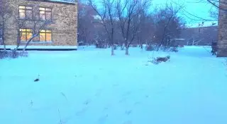 Бомжи облюбовали территорию садика в Сарани из-за снесенного забора