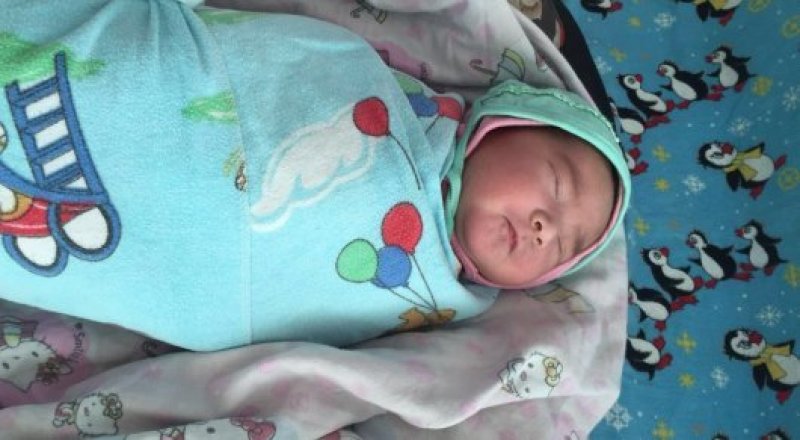 Фото прислано очевидцами