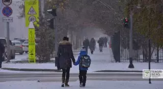 В Астане и ВКО вновь отменены занятия в школах