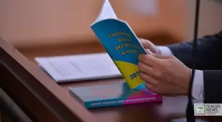 Просто копировали законы - глава МВД РК о минусах уголовного законодательства