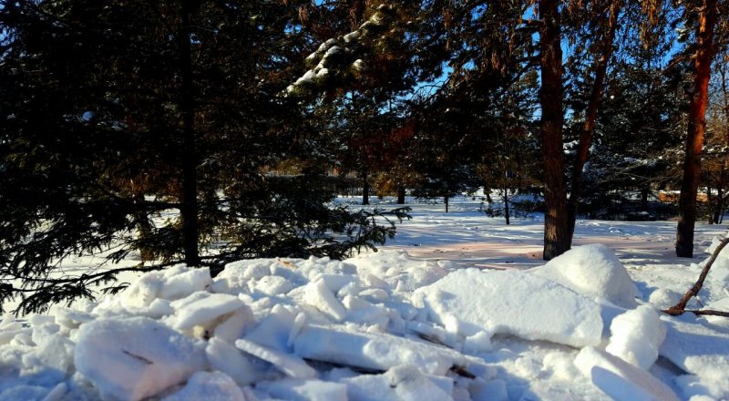 Фото Tengrinews.kz