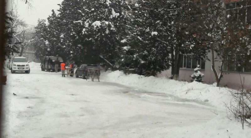 Фото: ©Айнаш Ондирис