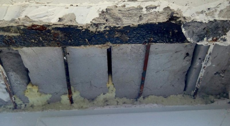 Фото Tengrinews.kz