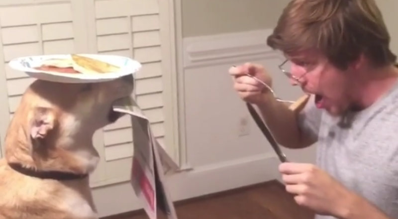 Кадр видео с Instagram.com