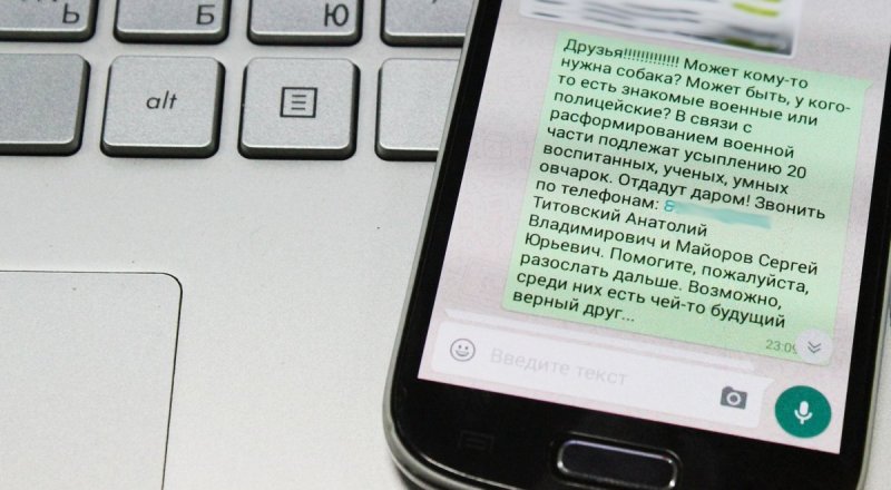 Фото Турар Казангапов ©