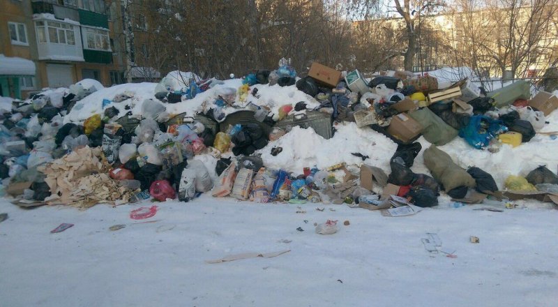 Фото Tengrinews.kz