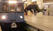 Прыжок экстремала под поезд в метро назвали фейком