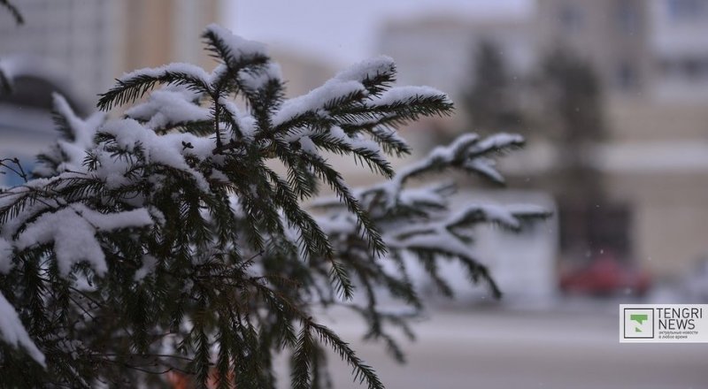 Фото©Турар Казангапов.