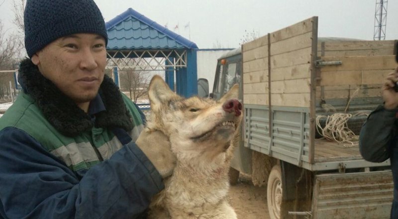 Фото с сайта lada.kz