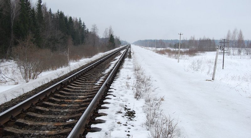 Фото pskovrail.ru
