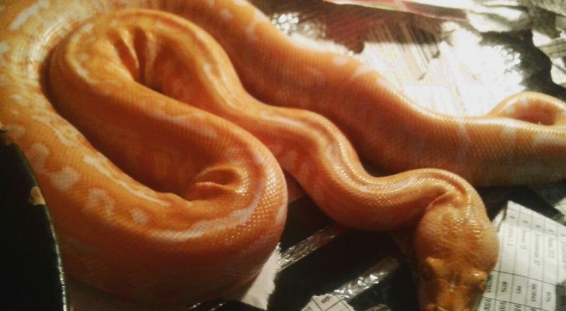 Фото Tengrinews.kz