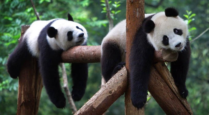 Фото с сайта euraz.org