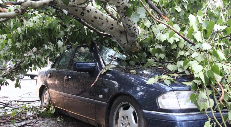 Иллюстративное фото Tengrinews.kz