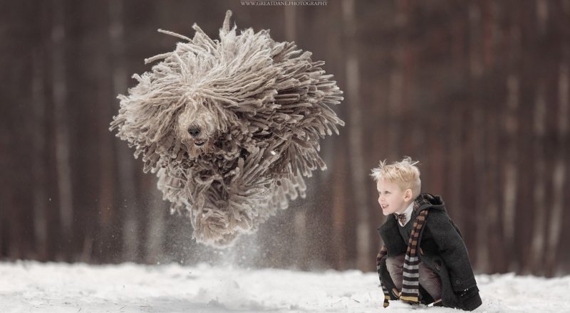 © Andy Seliverstoff 