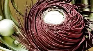 Еда, которая искусство