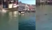 Африканский беженец утонул в Венеции под смех и шутки толпы