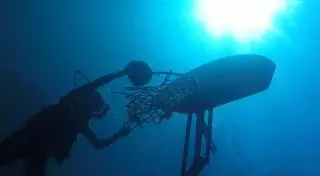 Талант от Бога: кто стал победителем детского фотоконкурса NatGeo