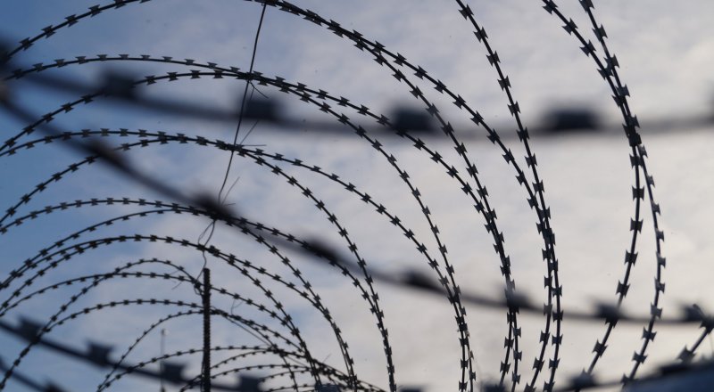 Фото с сайта newsvo.ru