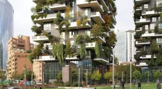 Как можно избавиться от смога в Алматы