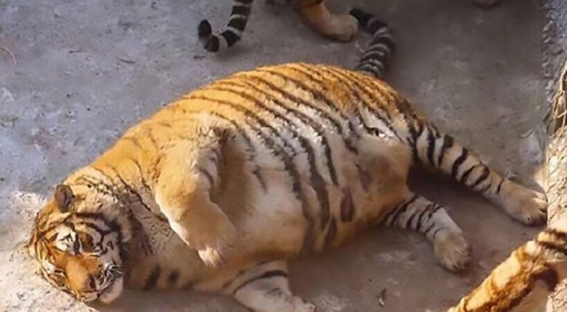 Источник binkl.by