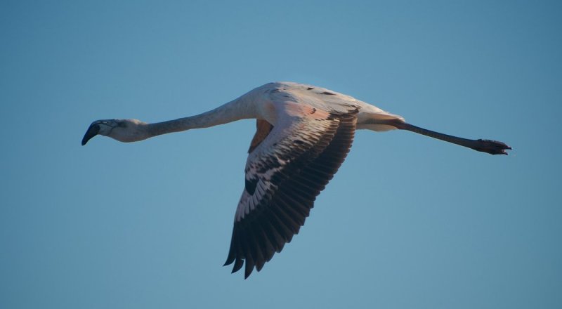Фото с сайта uruguay-foto.com