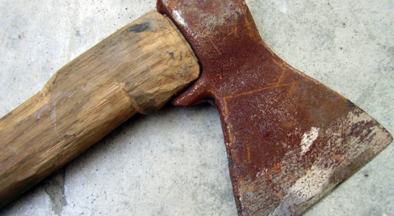 Топор. Фото с сайта vesti.kz