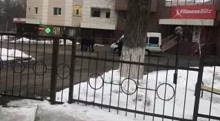 Алматинец выпал из окна ЖК и разбился насмерть