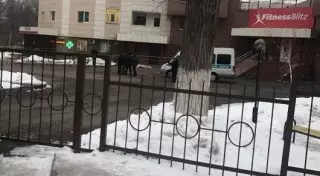 Эксперты назвали причину смерти парня, выпавшего из окна ЖК в Алматы