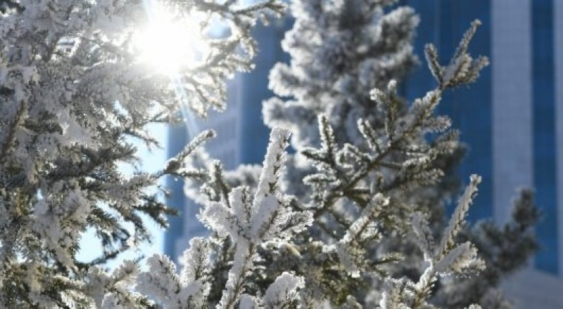 Фото Турар Казангапов ©