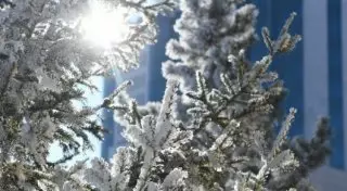 Снегопады и метели покидают территорию Казахстана