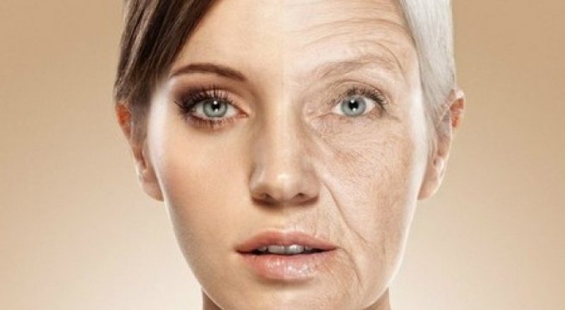 Фото с сайта transferfaktory.ru