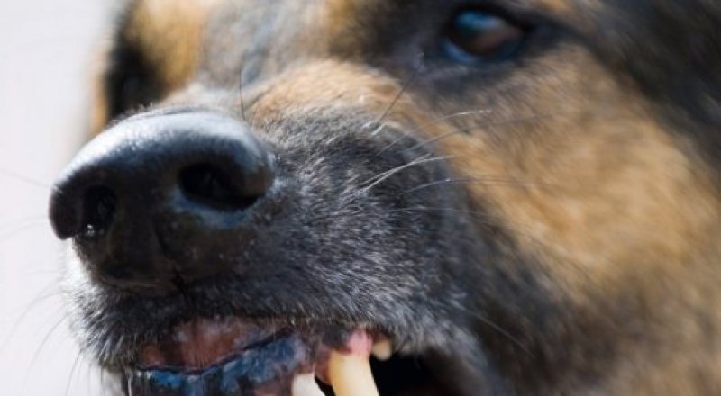 Фото с сайта ziare.com